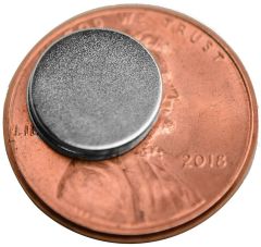 10mm x 1mm Disc - Neodymium Magnet