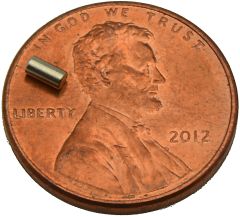 1/16" x 1/8" Cylinders - Neodymium Magnet