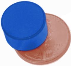 1/2" x 1/4" Disc - Plastic Coated - Blue - Neodymium Magnet