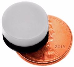 1/2" x 1/4" Disc - Plastic Coated - Black/White - Neodymium Magnet