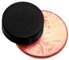 1/2" x 1/8" Disc - Plastic Coated - Black - Neodymium Magnet