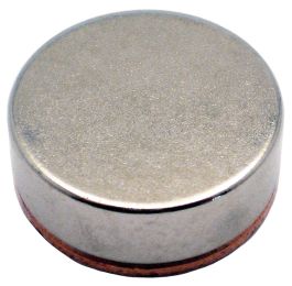 Apex Magnets  3/4 x 1/8 Disc Magnets - Adhesive Backed - Neodymium  Magnets