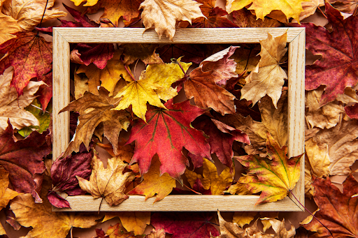 DIY Magnetic Wall Art: Autumn Edition