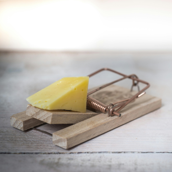 DIY Mousetrap Magnet Clip
