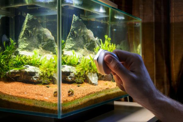 What Are Magnet Aquarium Cleaners?