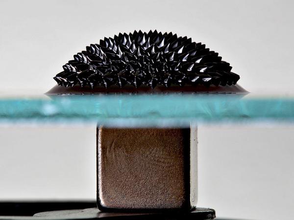 Geeky Gift Ideas for Science Lovers