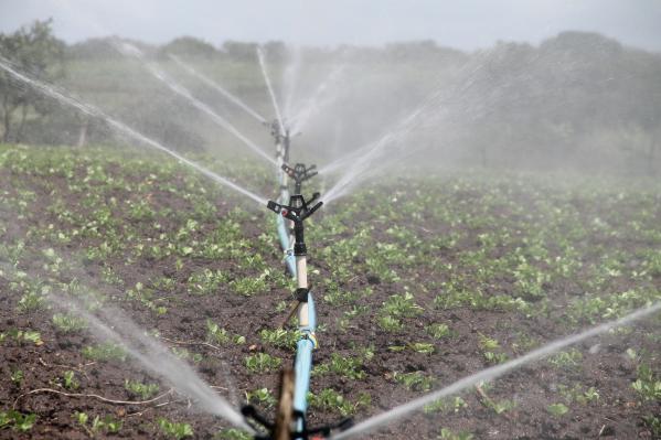 Magnetic Water Treatment (MWT): The Effect on Water Productivity