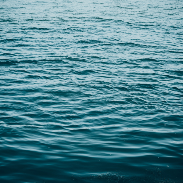Magnet Fishers Retrieve a Piece of History