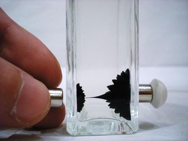 DIY Magnetic Field Bottle