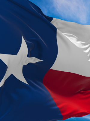 Texas Startup Targets Rare Earth Magnet Production