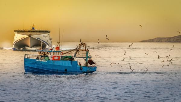 Magnets in the Fishing Industry