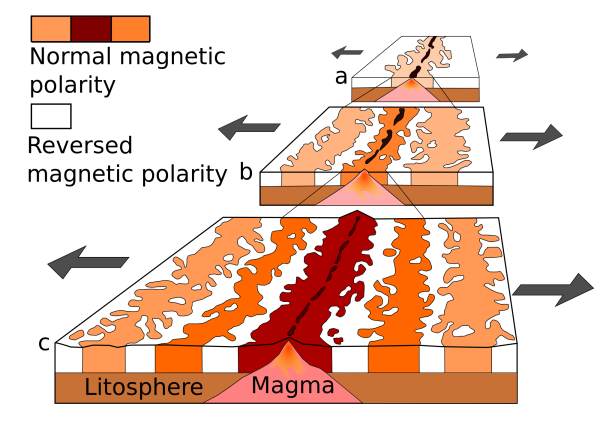 What Is Paleomagnetism?
