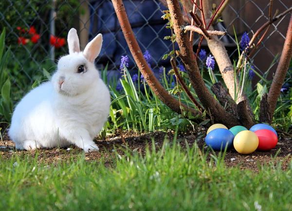 Magnetic Family Activities for Easter