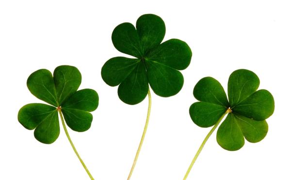 St. Patrick’s Day DIY Magnetic Shamrock