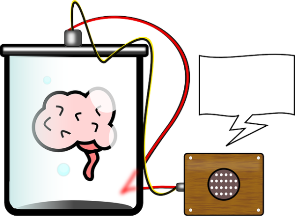 10 Magnet Facts To Help Your Brain Get Fit in 2015