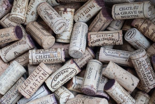 DIY: Wine Cork Succulent Magnets