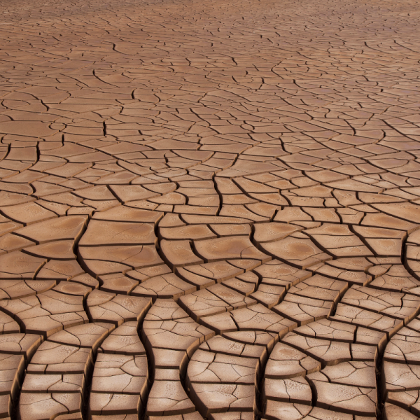 Magnets Are Helping Eliminate California’s Drought Crisis