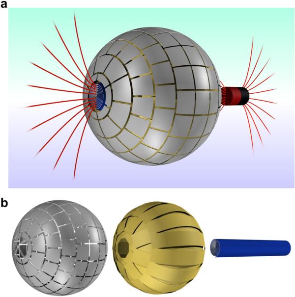 What Is A Magnetic Wormhole?
