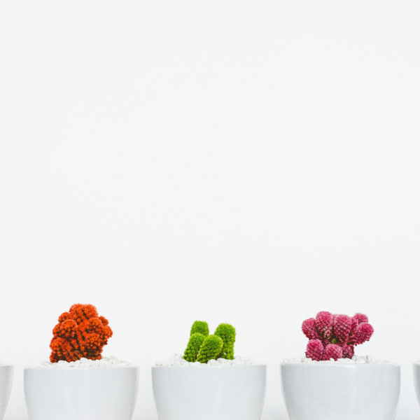 How to Make DIY Magnetic Plant Holders