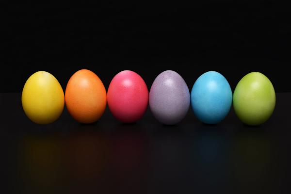 DIY Magnetic Egg Planters
