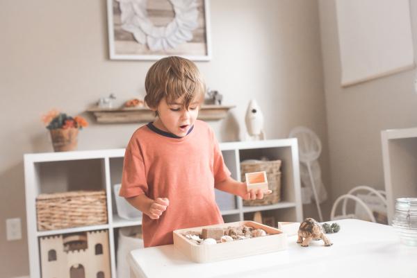 Making Schooling at Home Easier With Magnets