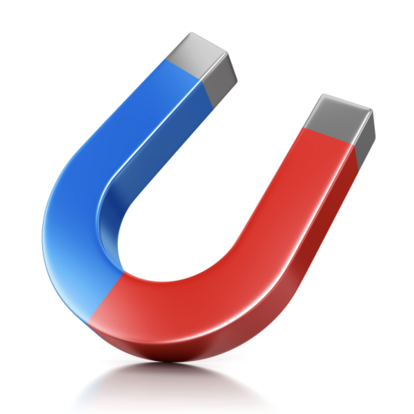The Story Behind The Horseshoe Magnet