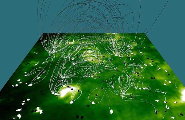 The Phenomenon of Magnetic Reconnection