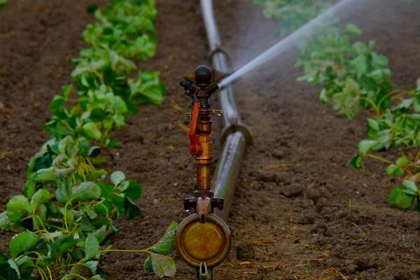 Magnetic Water Treatment in the Agriculture Industry