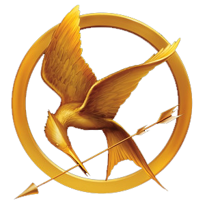 DIY Magnetic Mockingjay Pin