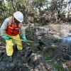 Magnet Experiment: How Magnets Could Clean Up Oil Spills