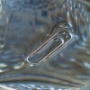 Magnet Experiment: The Levitating PaperClip