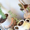 5 DIY Mother’s Day Gift Ideas