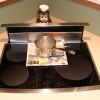 Magnetic Induction Cooking