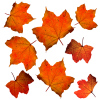 3 Magnet DIYs With Autumn Leaves