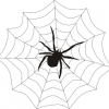DIY Magnetic Spider Web Game