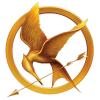 DIY Magnetic Mockingjay Pin