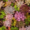 DIY Magnetic Cork Planters