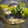 DIY Magnetic Terrariums