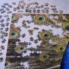 5 Easy Nature-Themed Magnets