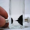 DIY Magnetic Field Bottle