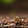 Screws & Bolts & Nails, Oh My!  DIY Magnetic Bracelet