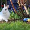 Magnetic Family Activities for Easter