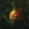 Studying the Magnetic Fields of New Stars