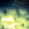Electromagnetic Spider Webs