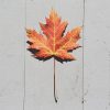 Fall Leaf DIY Magnets