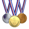 DIY Magnetic Medal Count Board