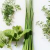 Bring Your Herbs Indoors with This DIY Magnetic Tea Tin Garden