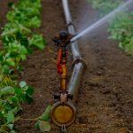 Magnetic Water Treatment in the Agriculture Industry