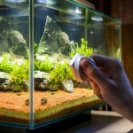 What Are Magnet Aquarium Cleaners?