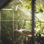 Magnets in a Greenhouse or Nursery